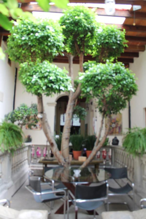 Guest House Aldama Mexico City Exterior photo